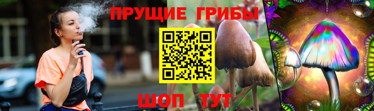 Псилоцибиновые грибы ЛСД  купить  цена  Белореченск  Вход с VPN  Галлюциногенные грибы ЛСД 